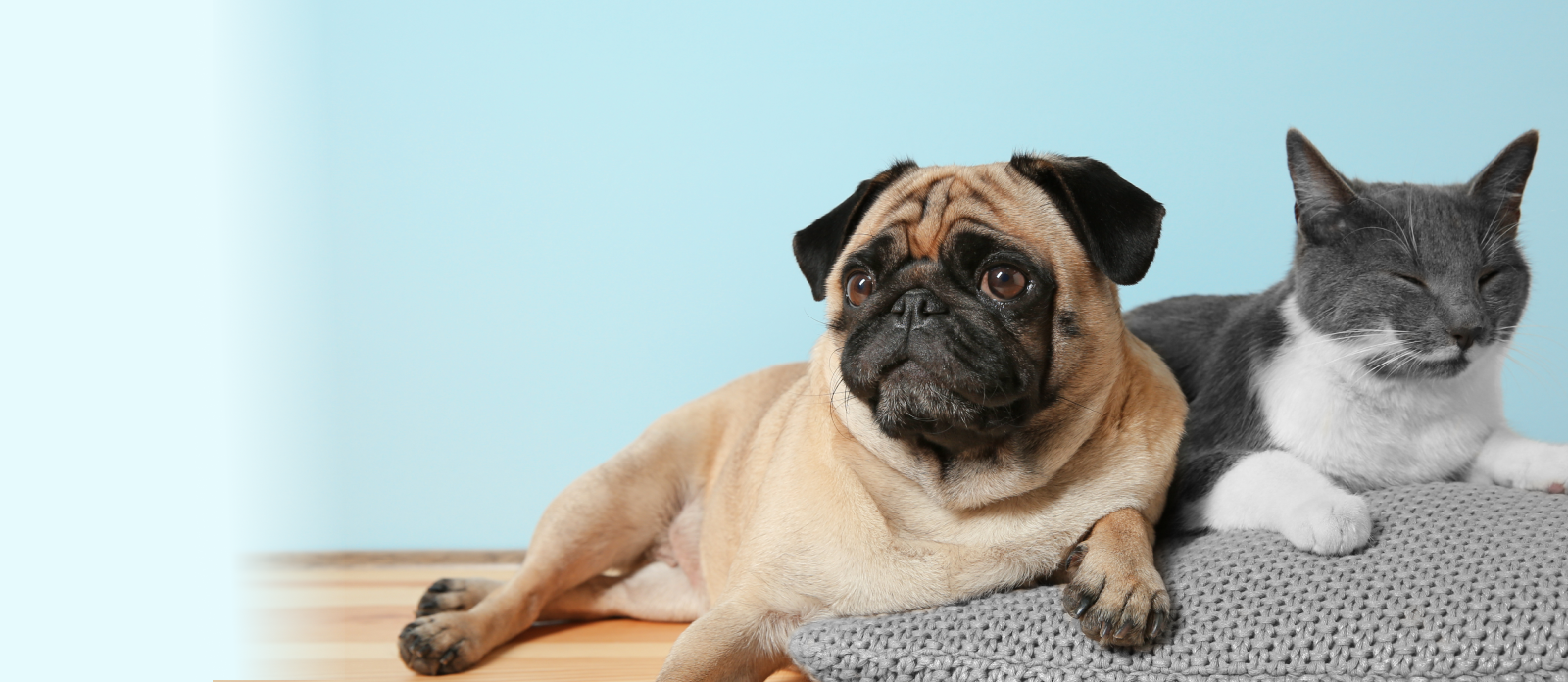 request appointments